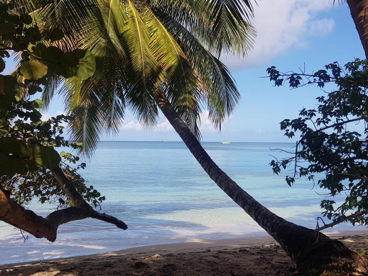 Residence Kawann Plage & Piscine - Toumalacai 249 Folle Anse Exterior photo